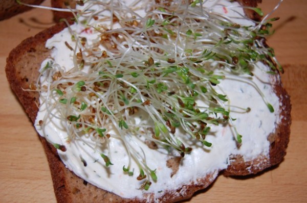 Paleo Brot mit Tapiokamehl