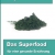 Spirulina-Das Superfood für eine gesunde Ernährung -