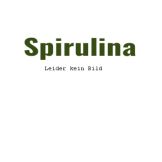 Spirulina Shake mit Buttermilch und Honig